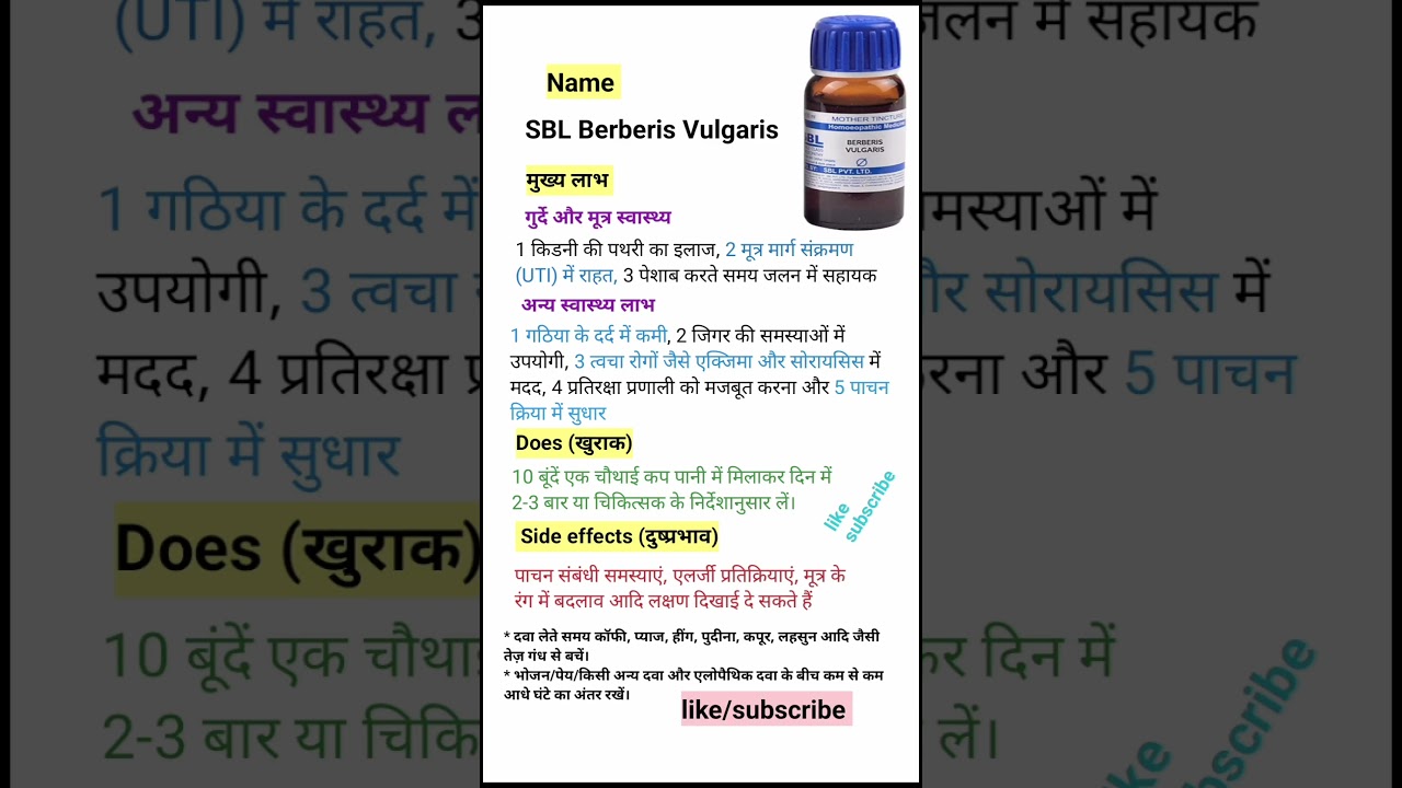Berberis Vulgaris Mother Tincture Q पथरी की homeopathy medicine Stomach Care Use Does Side effects