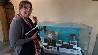 History of Science virtual tour (7 October 2020)
