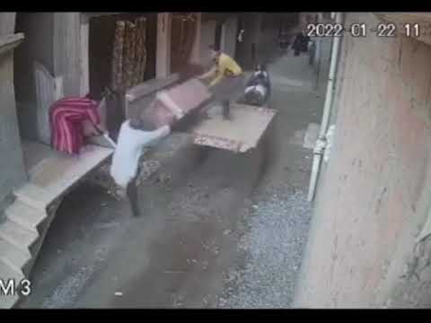 امسكوا الحصان