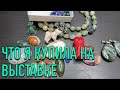 Что я купила на выставке СИМФОНИЯ САМОЦВЕТОВ. Мои покупки на выставке.