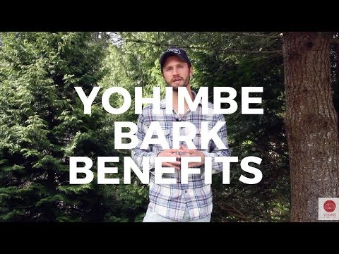 Yohimbe Bark Benefits: Fat-Burning, Energy, Aphrodisiac