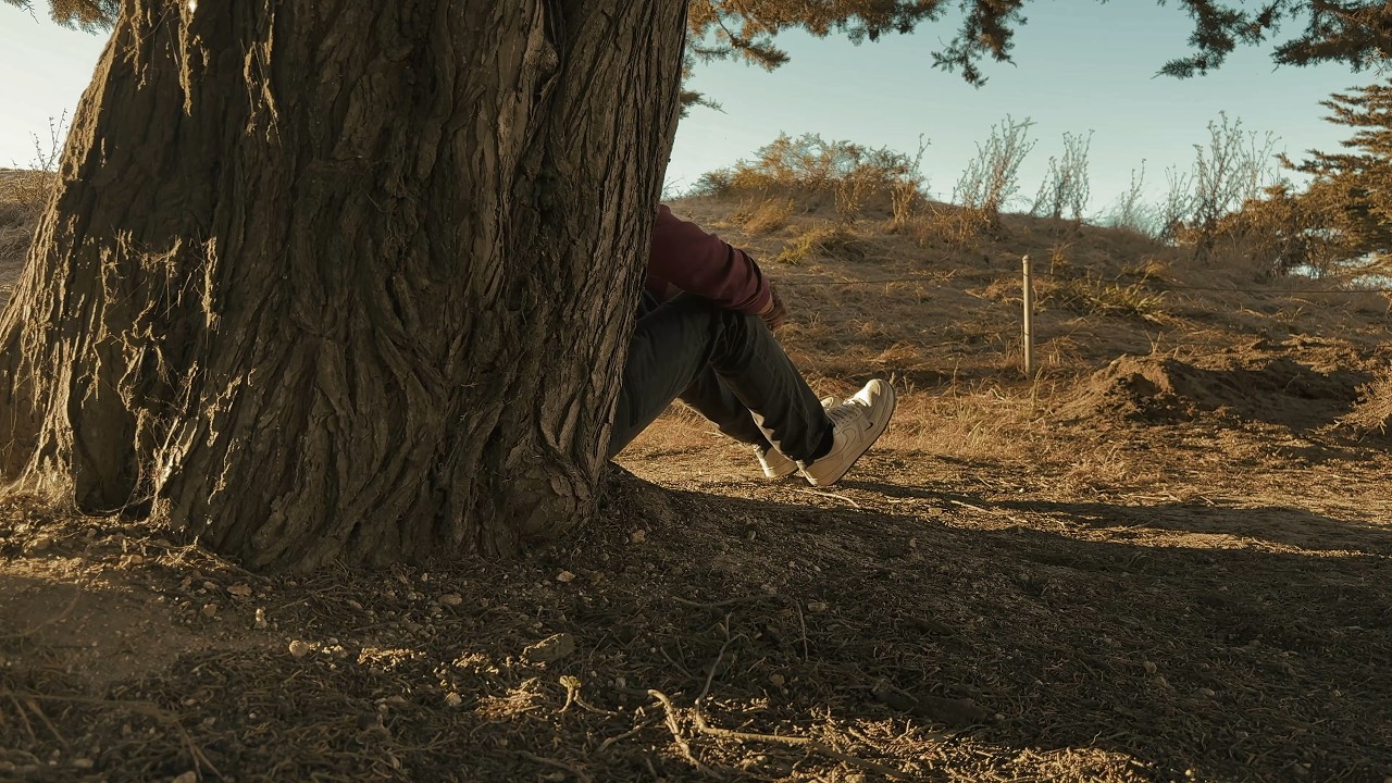 A still from move: a person resting behind a tree in late afternoon light
