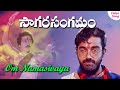 Om Namah Sivaaya video song | Sagara Sangamam  Telugu movie songs | Phoenix Music