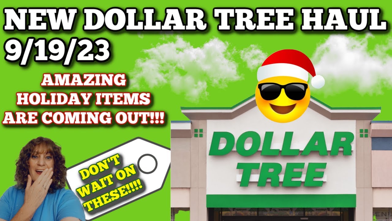 NEW DOLLAR TREE HAUL 🤑 5/5/23 NEW ITEMS 