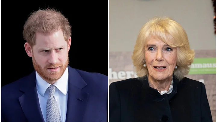 Prince Harry is 'absolutely scathing' in his 'personal attacks' of Camilla