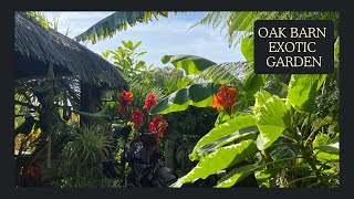 A walking Talking Tour of the Mesmerizing Oak Barn Exotic Garden.