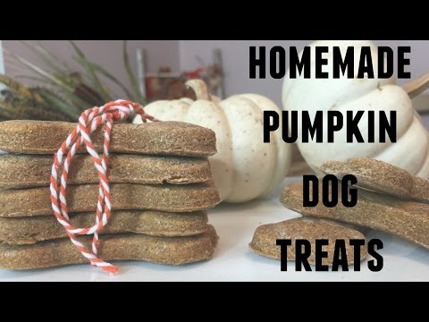 Simple Homemade Pumpkin Dog Treats | 2 Ingredients