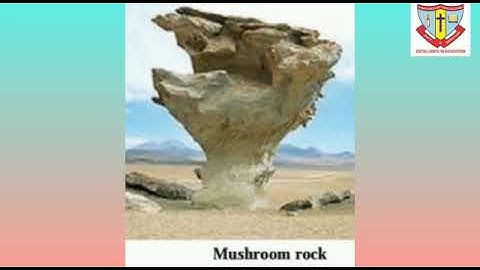 Std : IX. Sub :   Geography. Chapter : 4. Exogenetic processes Part-2.