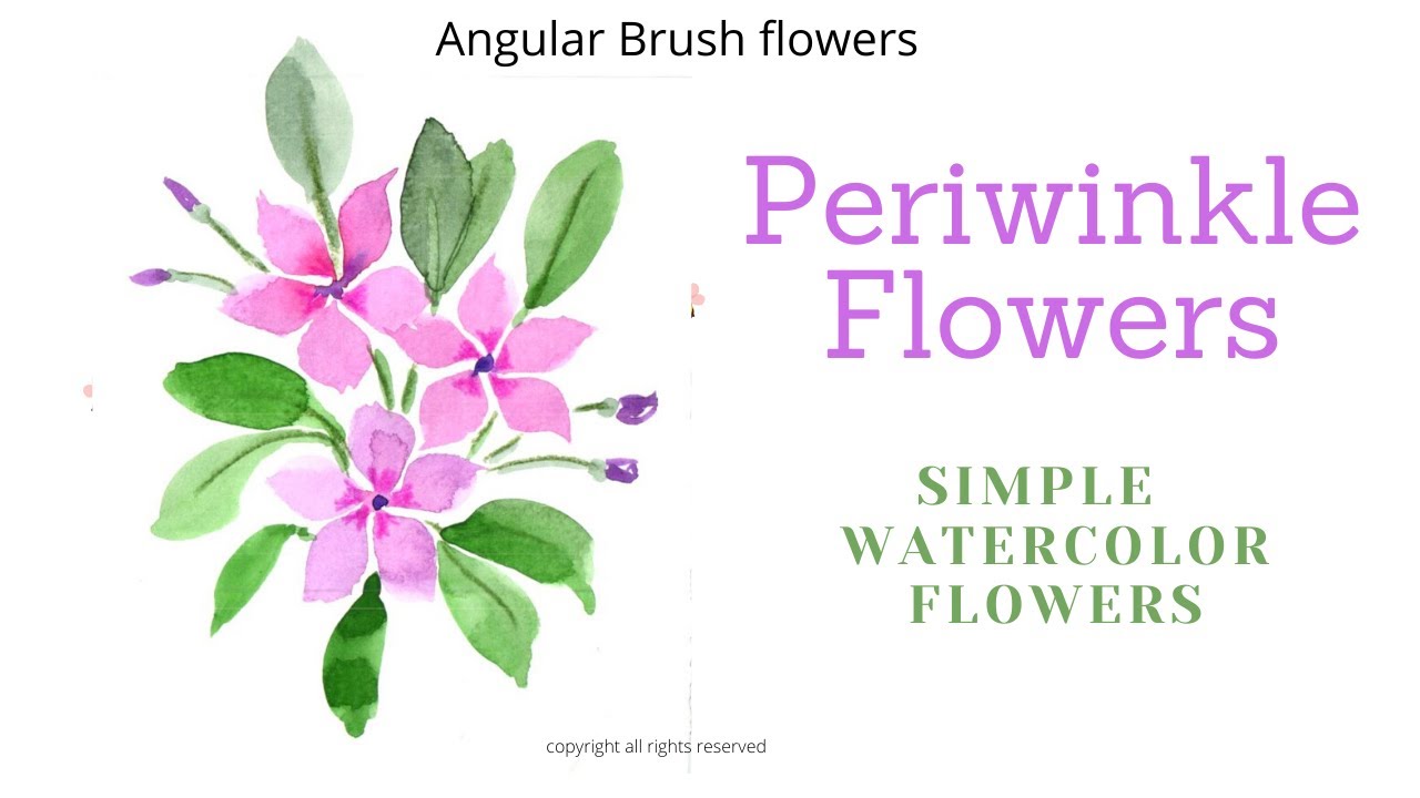 PERIWINKLE FLOWERS |Simple watercolor flowers | How I paint periwinkles with angular brush.