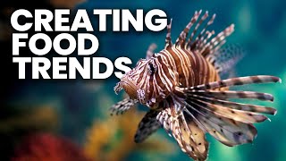 Popularizing Lionfish, Creating a Culinary Trend