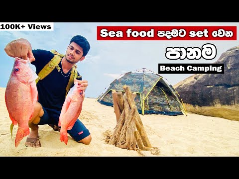 Panama Beach Camping | Arugambay | Srilanka | Making Fish BBQ & Bread pizza | ASMR 🇱🇰