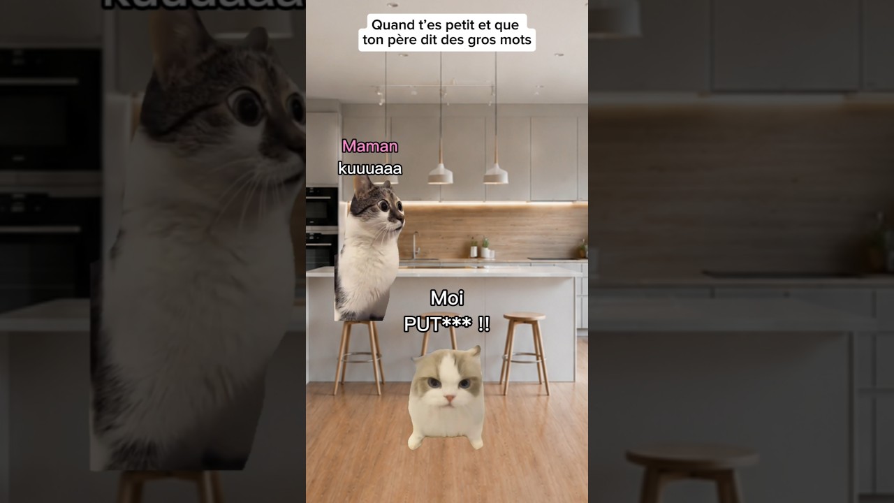 Quand t’es petit et que ton père dit des gros mots #humour #catmemes #drole #sketch