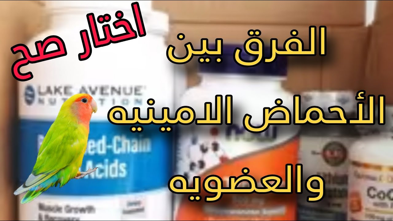 انتبة 🔴 الفرق ببن الاحماض الامينية والاحماض العضوية لطيور الزينة ومتى أقدمها والجرعة الصحيحة ❗️❗️