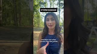 Trees toppled at National Pike Steam Gas and Horse Association