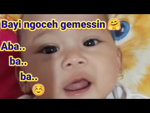 BAYI LUCU | Bayi 3 Bulan Ngoceh | Baby Funny Video Shorts