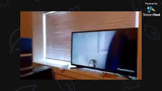 Plushes watch some plush videos