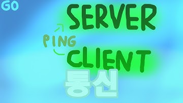 GO TCP 서버 클라이언트 (오늘의 개발노트 p.305)