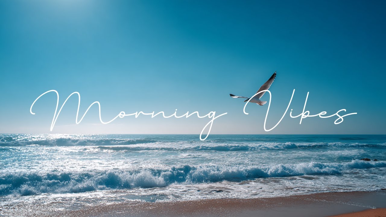 【Playlist】Music That Gently Supports Your Morning | Calm Focus BGM