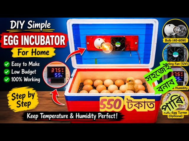 How To Make Simple Incubator / ইনকবেতৰ কেনেকৈ বনাব পাৰি 