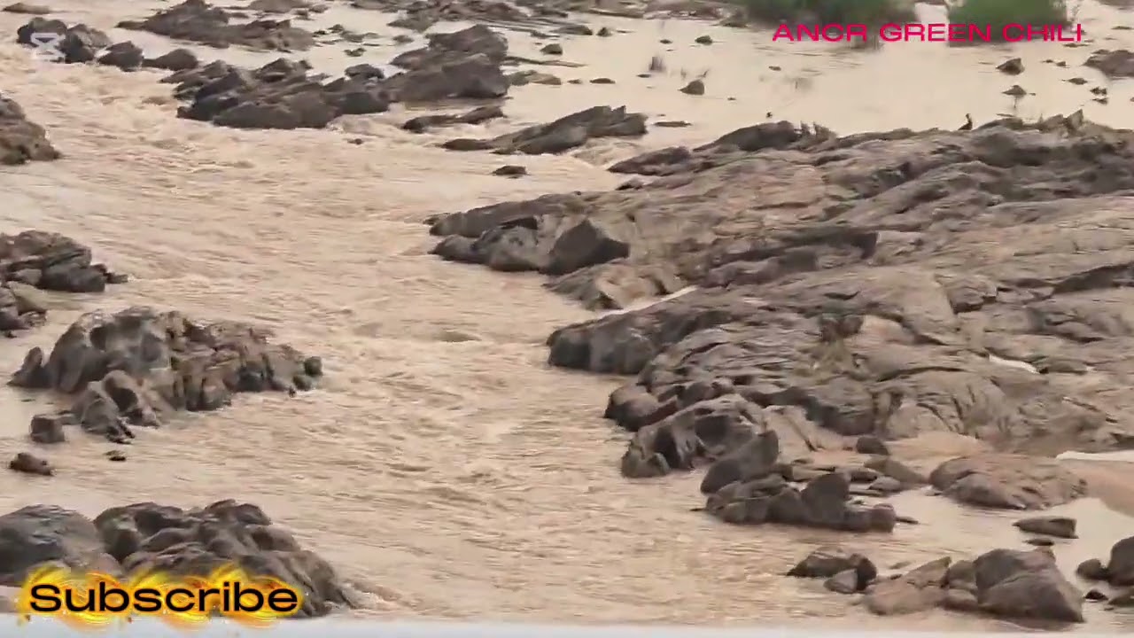 Chiken tikkha (Gorongosa to Beira city link road in Mozambique) #travel #mozambique 
