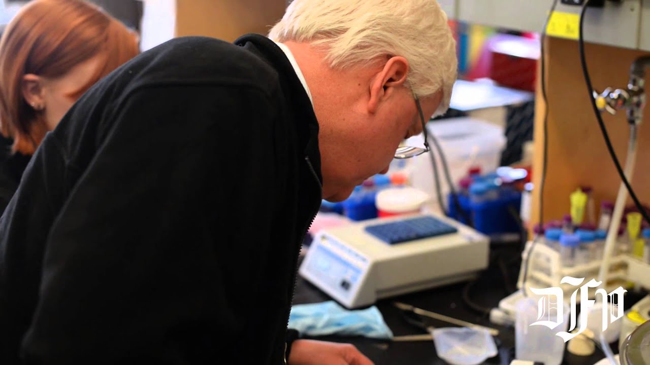 industry research and development act MIT researchers develop Ebola test, expand technology for other viruses
