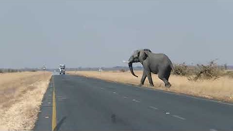 #10 Luyện nghe thụ động Tiếng Đức khi ngủ cho người mới bắt đầu - Kinh nghiệm Tự học tiếng đức