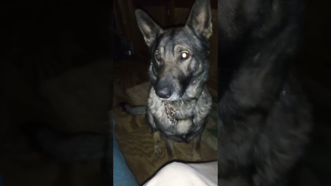 🧐😁 having a #Clean confession talk with #KING😂