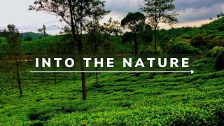 Nature \ cinematic video \ with a Smartphone /#Environment-Day /#happy-world-environment-day screenshot 1