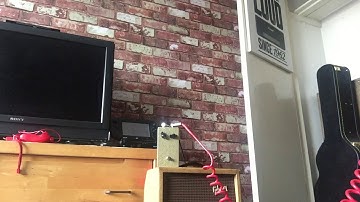 Jerms MK1 Tonebender type fuzz w/p90s