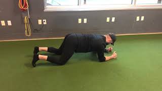 Plank Plus / Scapular Push Ups on Elbows