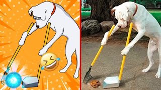 New Funny Animals 🐢 Funniest Cats and Dogs Videos 🐷🐈‍⬛ #25