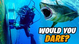 10 Most Dangerous Jobs in The World | Deadliest Job in the World