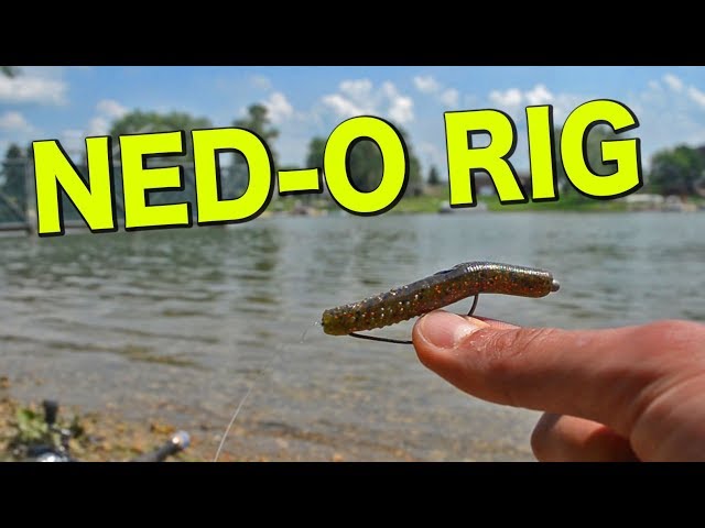 Ned Rig + Neko Rig = NED-O RIG (Weedless Finesse Fishing