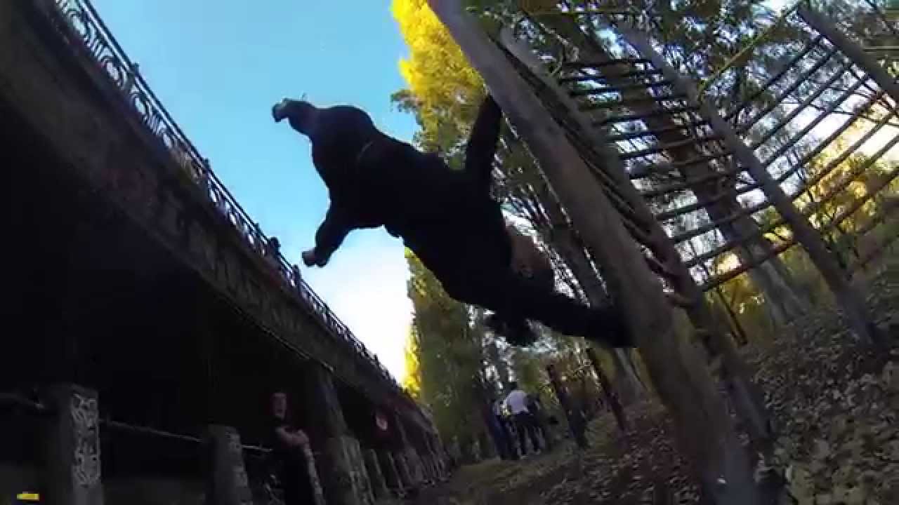 International Street Workout Vienna Austria - Training Video - Autumn 2015 - 75 calisthenics full body workout