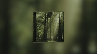 Daylight - David Kushner ( slowed down )