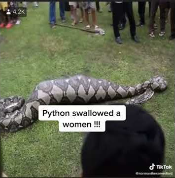 PYTHON SWALLOWED A WOMAN🤕
