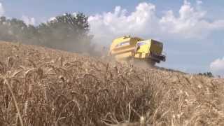 Moisson 2013 Lauzerte