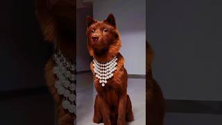 My Dog Loves To Wear Necklaces 😅😊❤️ #wow #viralvideo #korean #cute #trending #dog #dogshorts