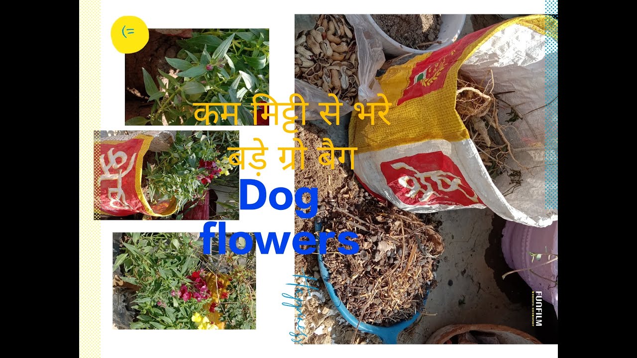 How to fill soil in a big grow bag? light weight grow bag Soil mix/Dog