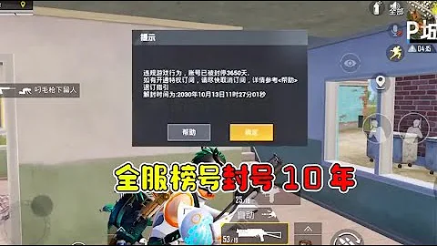 大山解说：吃鸡全服榜前10玩家，封号10年！ - 天天要闻