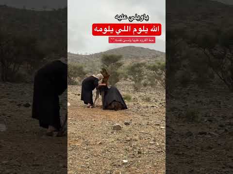 اكسبلور ترند لايك صاحب الناقه وضع الفروه على الحوار وامه وغطاهم عن البرد والمطر خوفا عليهم Fyp