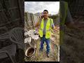 Backyard Transformation front start to finish #shorts #viral