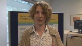 Microsoft Research's Forest Dynamics