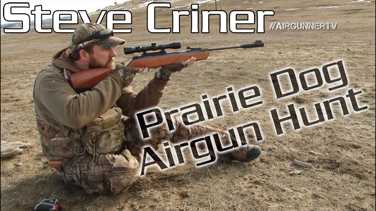 American Airgunner Air Gun Hunting for Prairie Dogs 2015 Episode