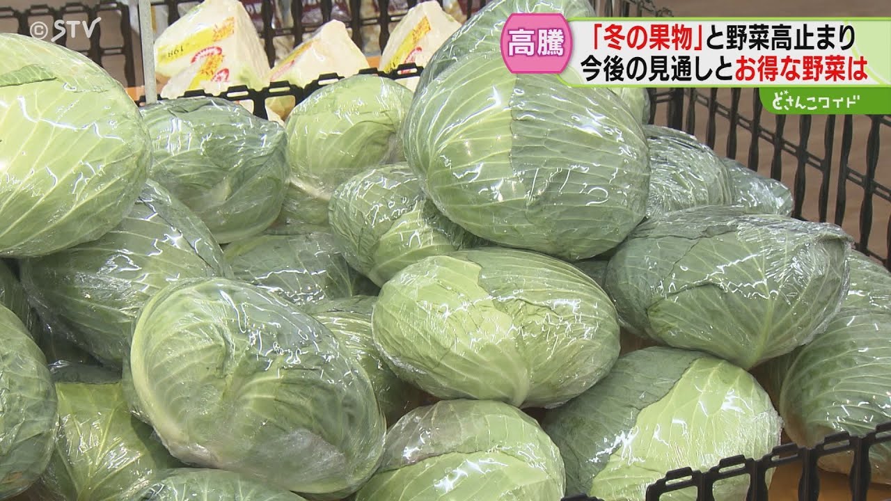 赤字覚悟で販売 キャベツが2倍以上の値段に ミカンやイチゴも高値