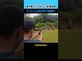【実銃】0.4秒を切る！ハンドガンでの初弾撃ちを極めよう【実弾射撃】