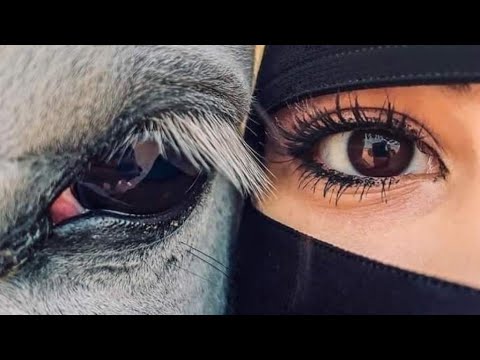 القرارات التي تصنعها الكرامه صائبه وان اوجعتك