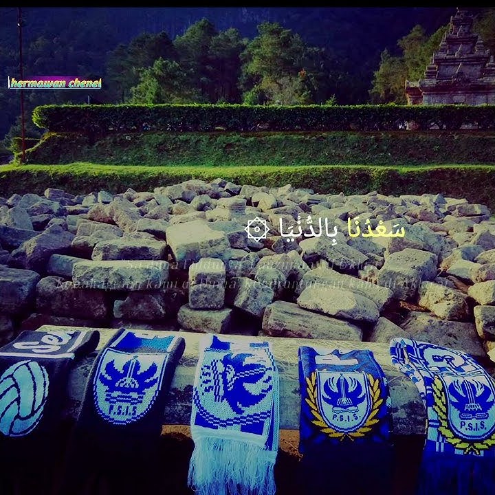 Story WA Syal Panser Biru || PSIS Semarang.