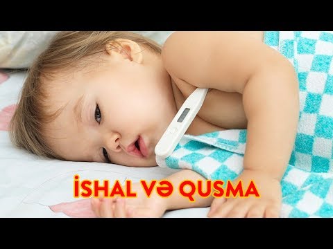 Video: İt Qusmaq? Köpəyiniz Qusar Və Ya Ishal Olarsa Nə Etməli