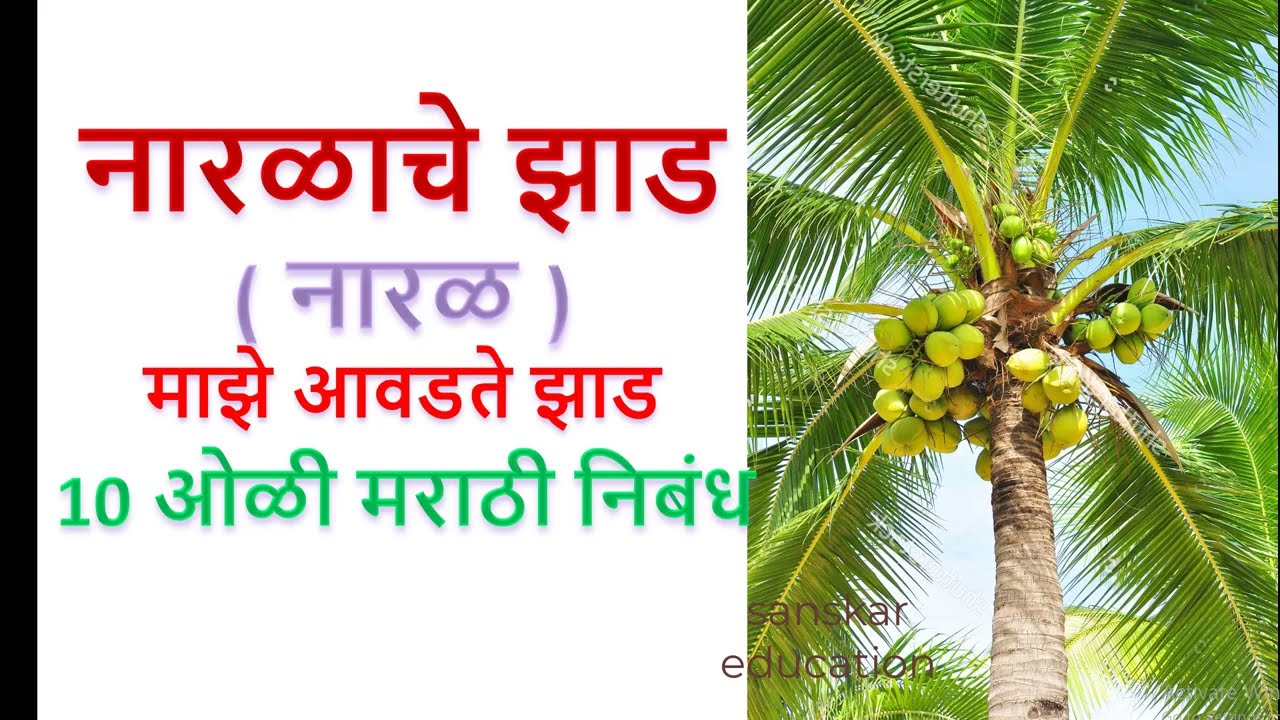 essay on coconut tree in marathi